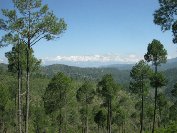 5. Almora