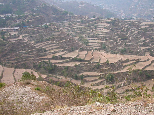 12. Ranikhet