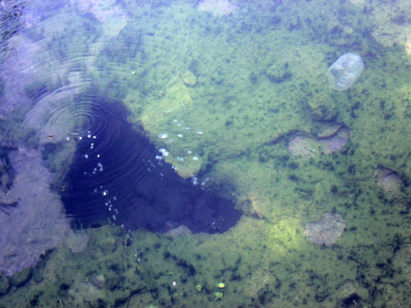Hot Water Spring