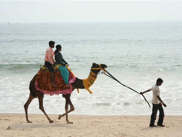 2. Model Beach