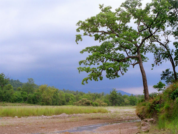 rajaji national park uttarakhand rajaji national park uttarakhand