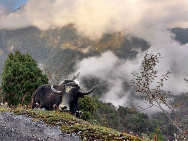 changu lake sikkim changu lake sikkim