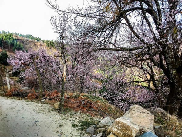 major hill stations in uttarakhand major hill stations in uttarakhand
