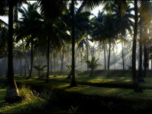 poovar island near trivandrum poovar island near trivandrum