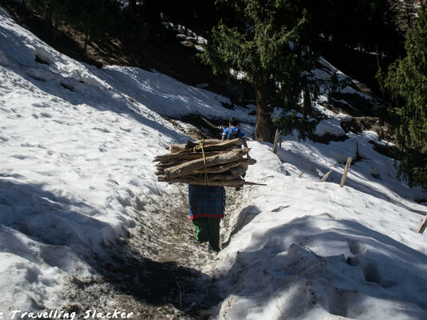 lana Village In Himachal Pradesh lana Village In Himachal Pradesh