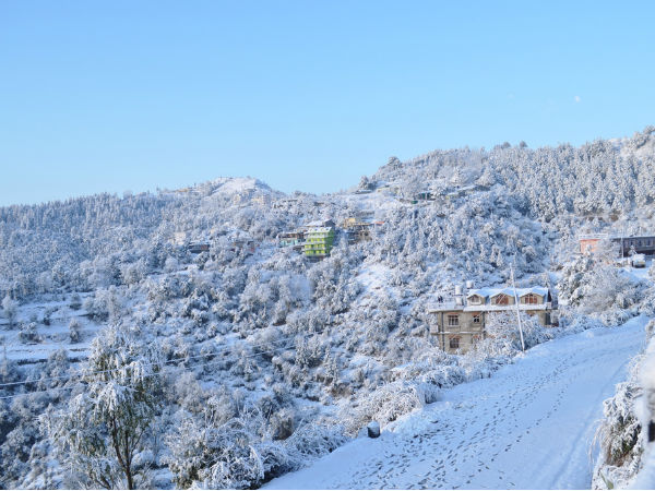1. Shoghi, Himachal Pradesh