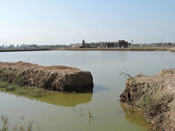 Faridkot, Punjab & Pakistan