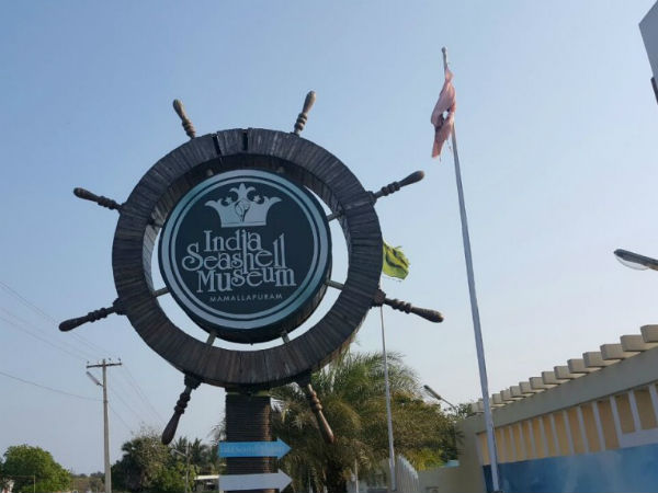 Seashell Museum