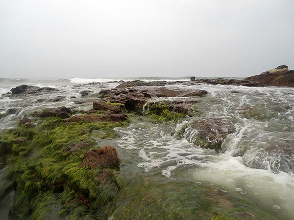 Bheemunipatnam Beach:
