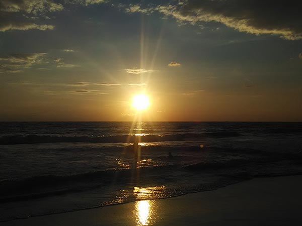 Pichavaram Beach: