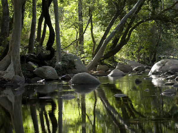 4. Chinnar Wildlife Sanctuary