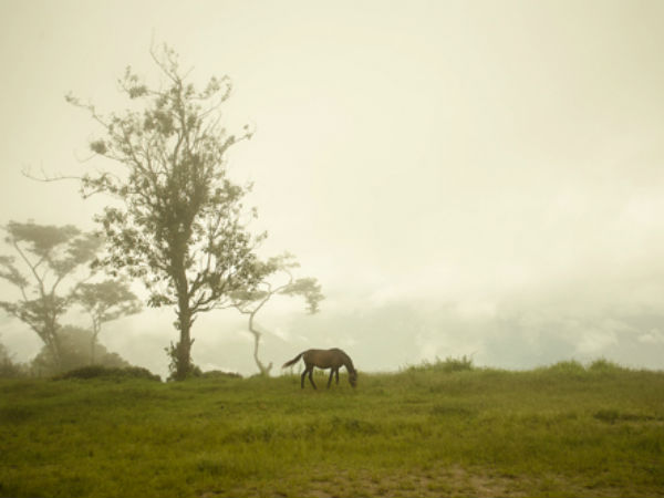 Kalimpong