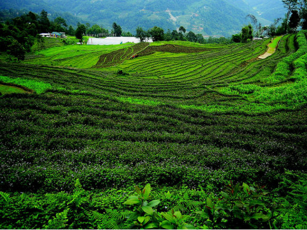 Gangtok