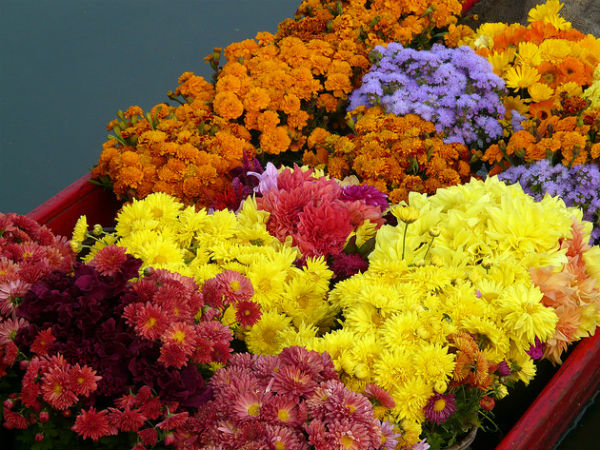 01. Best Time To Visit Srinagar