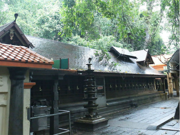 Nagaraja Makes His Appearance