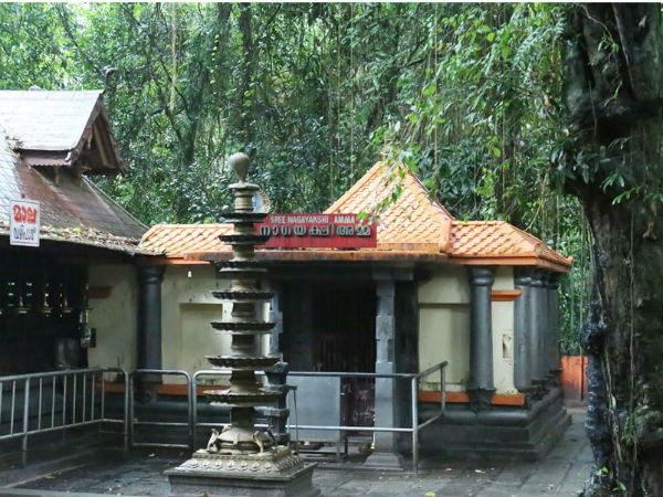 The Story Of Vasudeva And Sreedevi