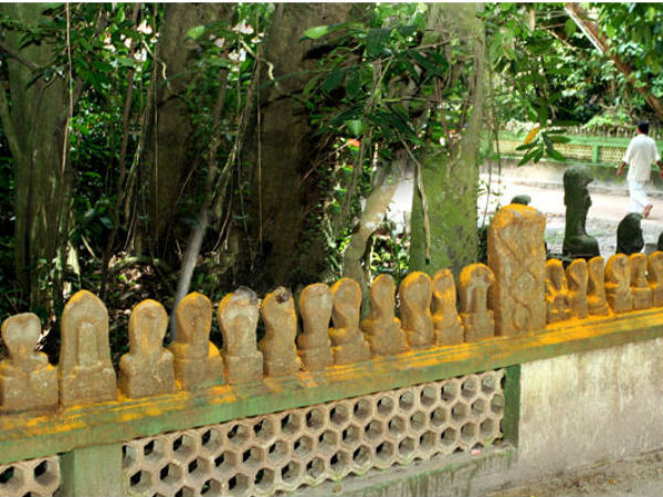 Mannarasala Amma