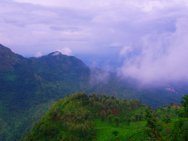 Dolphin’s Nose