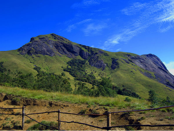 8. Anamudi
