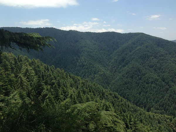 5. Narkanda