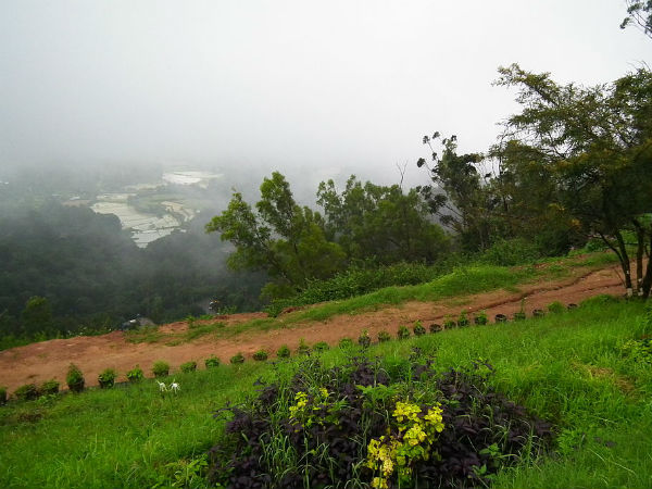 8. Madikeri