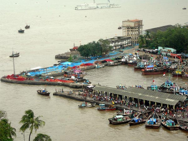 bhaucha dhakka mumbai fish market bhaucha dhakka mumbai fish market
