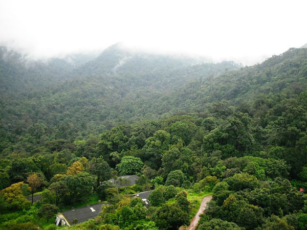 2. Silent Valley National Park, Kerala