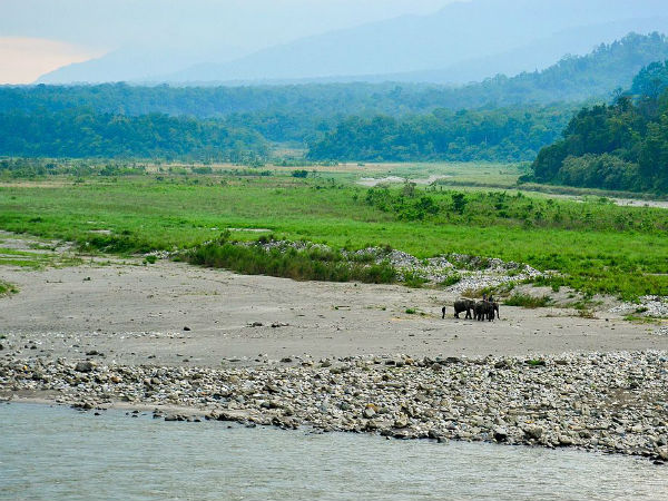 3. Manas National Park, Assam