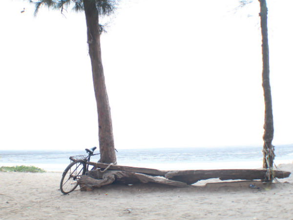 Dahanu Bordi beach