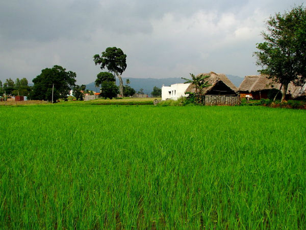 4. Yelagiri