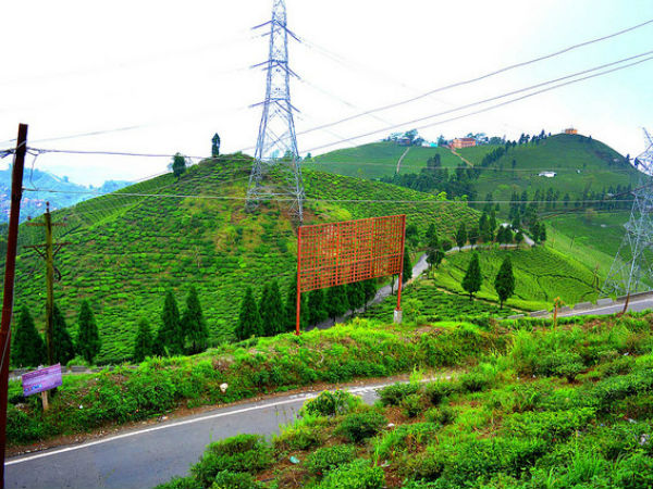 9. Mirik
