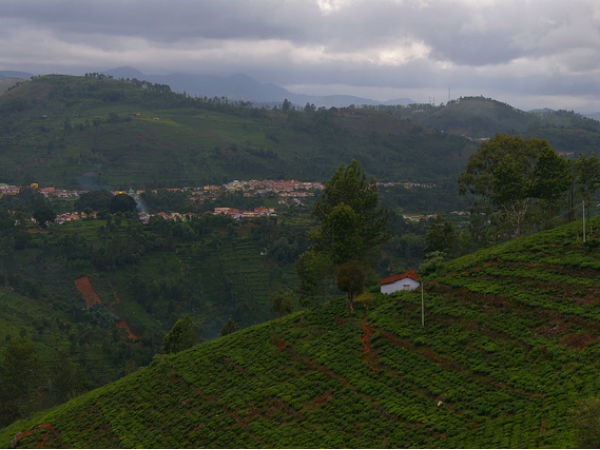 10. Kotagiri