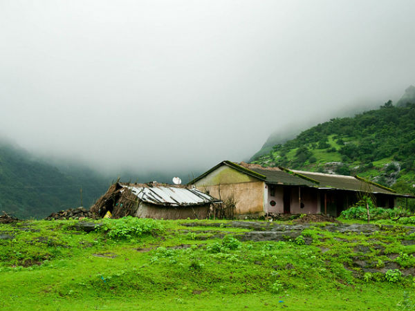19. Amboli