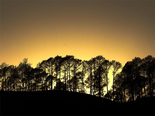 Viewing Sunset