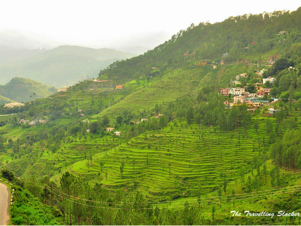 Almora