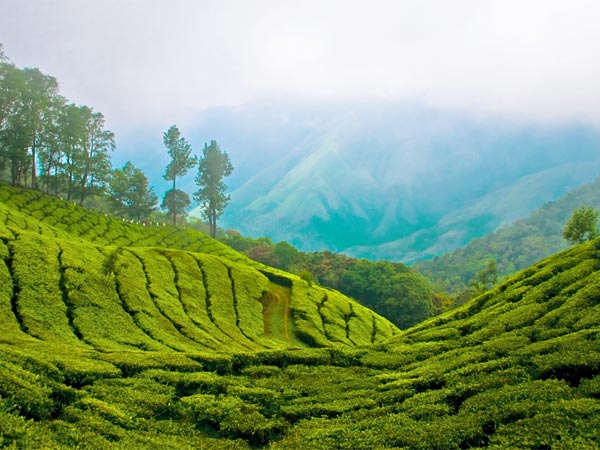 Munnar