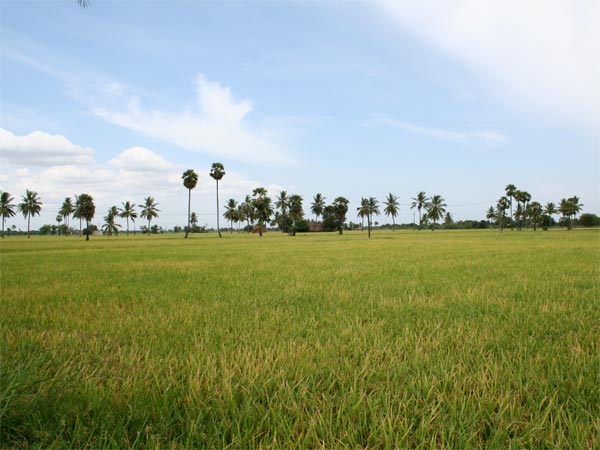 Nellore