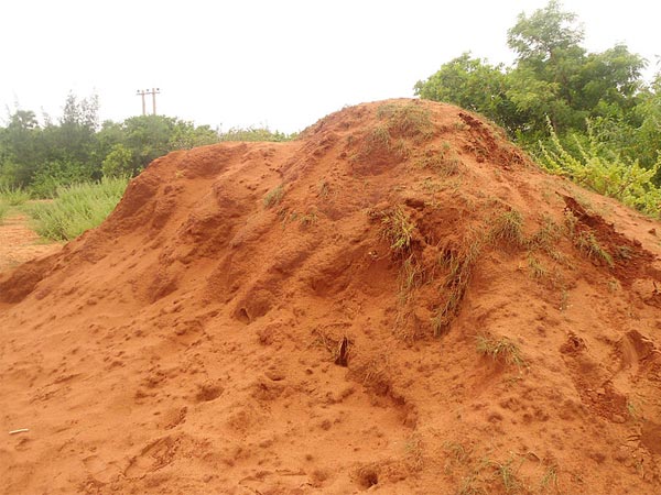 Erra Matti Dibbalu (Red Sand Dunes)