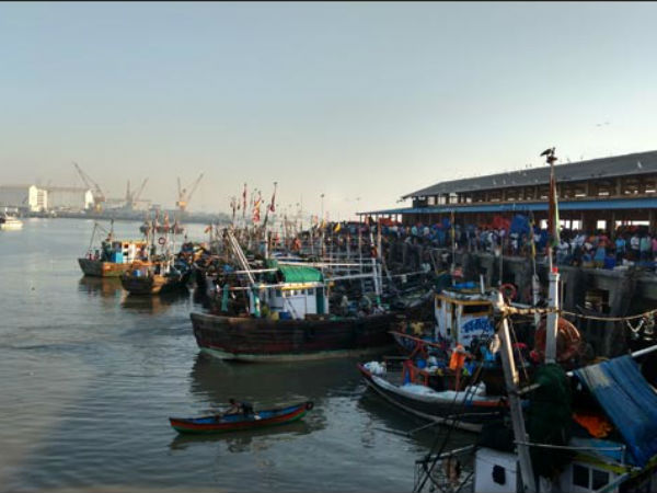 Bhaucha Dhakka Biggest Fish Market in Mumbai - Nativeplanet