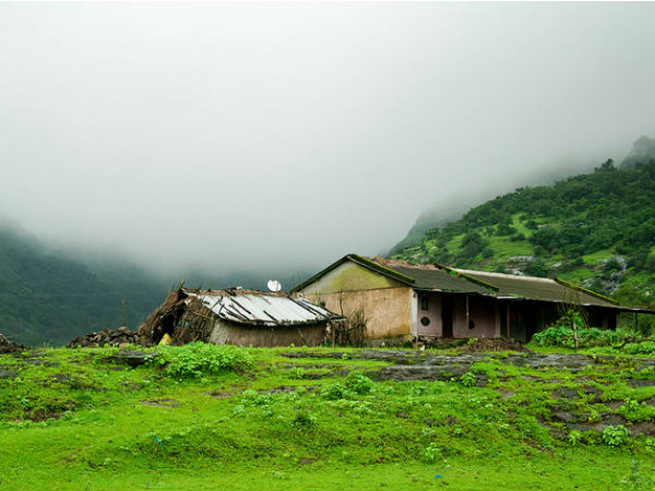 1. Amboli