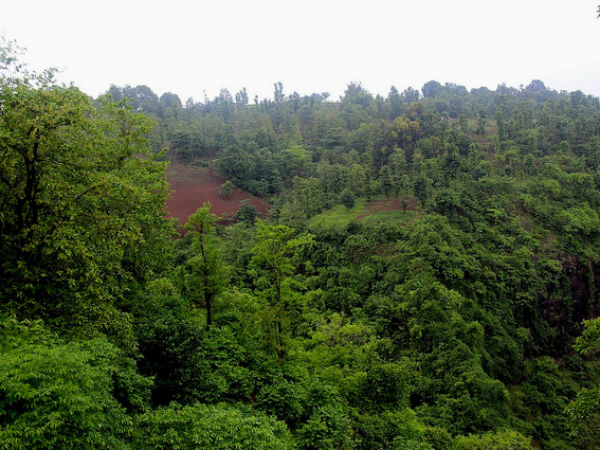 01. Best Time To Visit Jawhar