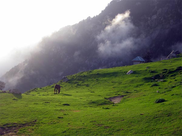 Bhagsu Nag