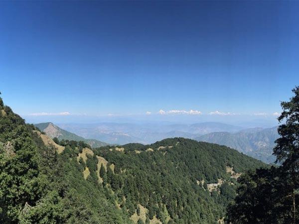 Tiffin Top