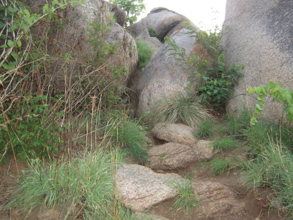 treks near bangalore treks near bangalore
