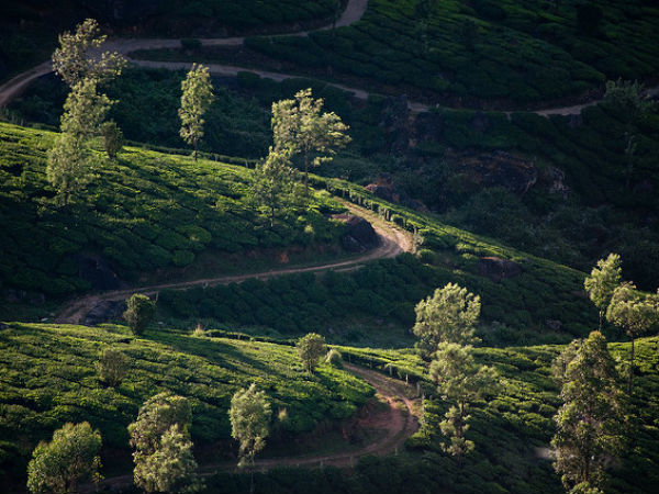 Munnar