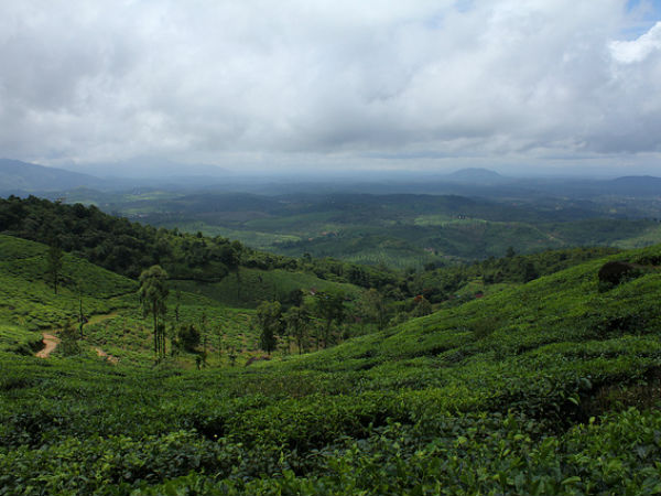 Wayanad