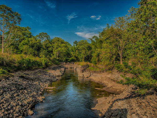 Parambikulam Tiger Reserve