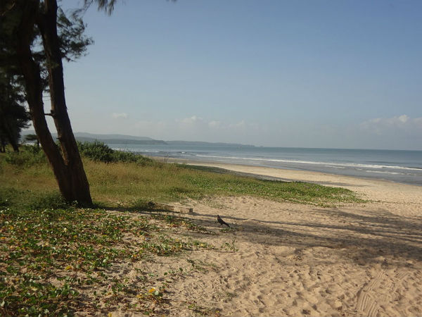 Cavelossim Beach