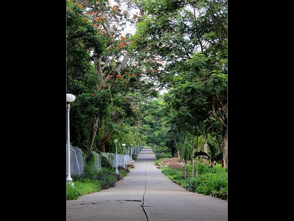 Mandya