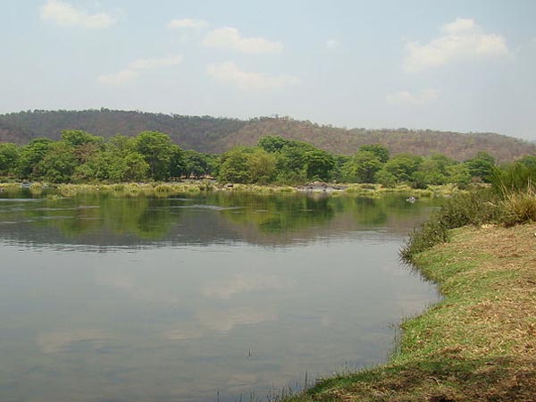 Muthathi